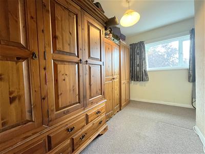Picture 14